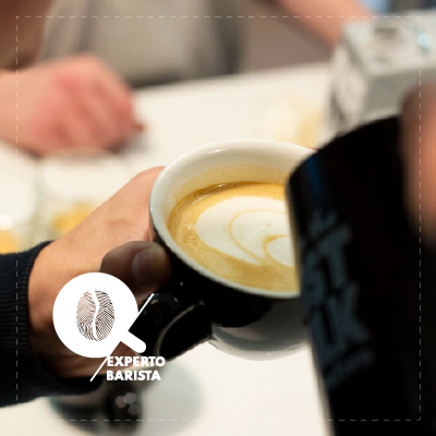 Curso experto barista