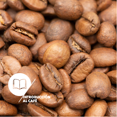 Curso introducción al café
