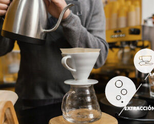 Brewing + Barista Foundation SCA