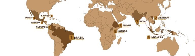 Paises en el mundo productores y consumidores de café