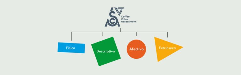 Protocolo de cata cva