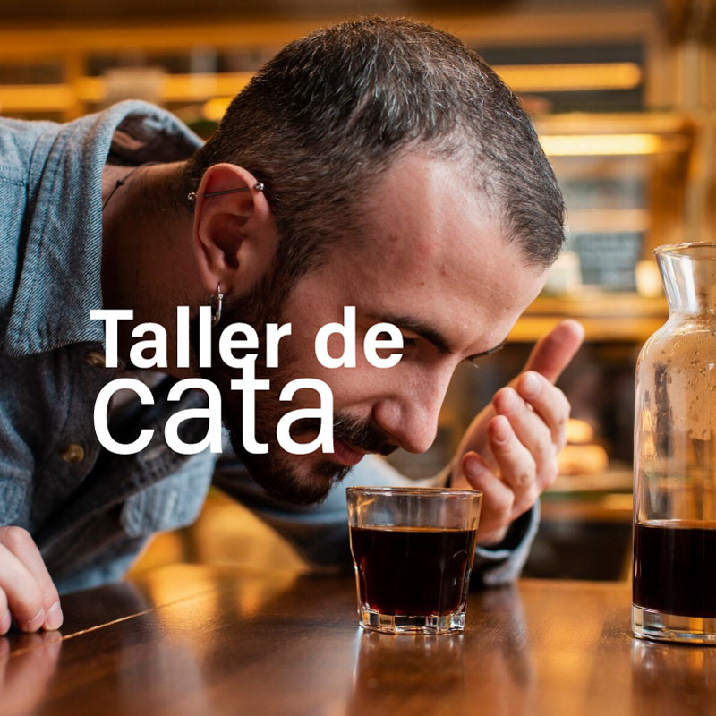 Taller de cata