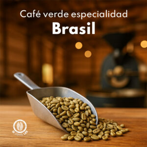 Comprar café verde de especialidad