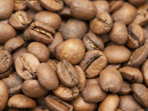 introduccion al café.jpg