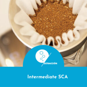 Brewing intermediate SCA - Extracción de café (Completo)