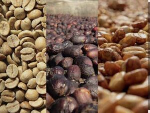 WhatsApp Image 2025-12-06 at 12.30.56 p. m..jpeg