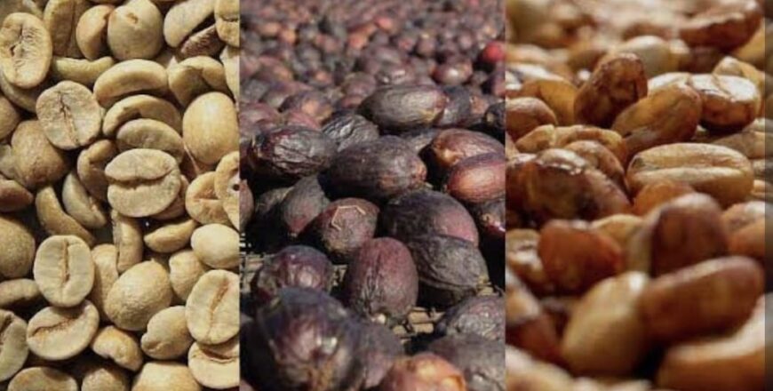 WhatsApp Image 2025-12-06 at 12.30.56 p. m..jpeg