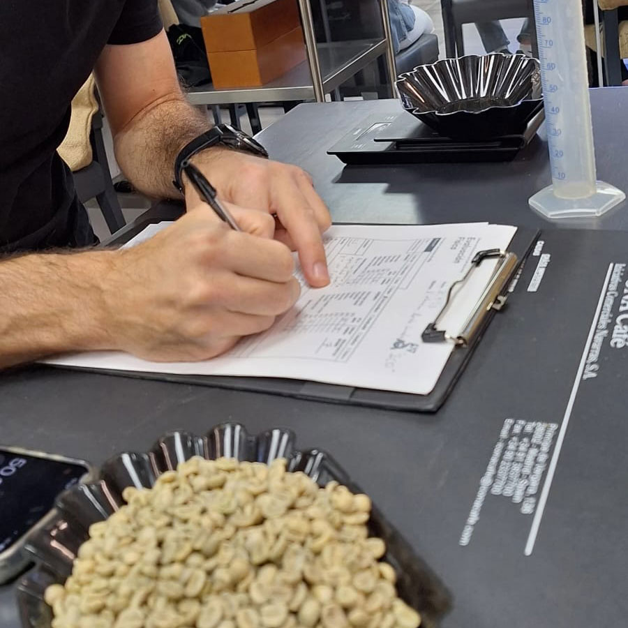 analisis-de-cafe-verde