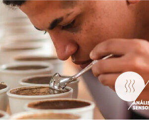 Sensory Foundation SCA  - Cata de Café Básico (Mayo)