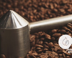 Roasting Foundation SCA - Curso de Tueste SCA